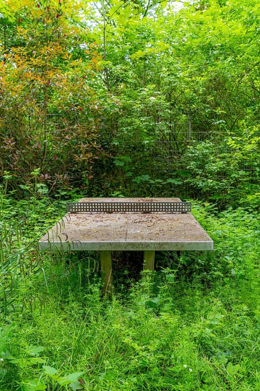 Lost Places, old table tennis table on an abandoned, closed playground, overgrown and surrounded by plants, Essen, North Rhine-Westphalia, Germany, Europe