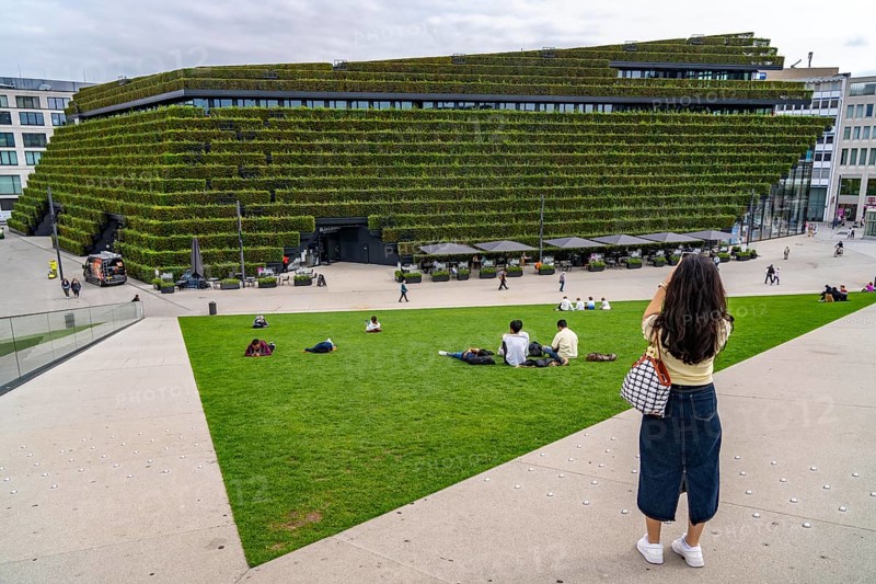 Green façade, consisting of over 30, 000 hornbeams forming a hedge a good 8 kilometres long on the roof and façade of the Kö-Bogen-2 building, largest green façade in Europe, Düsseldorf North Rhine-Westphalia, Germany, Europe