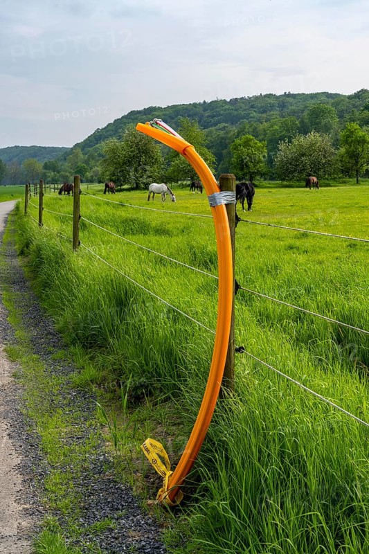 Fibre optic cable, freshly laid along a dirt track, at a paddock, awaiting further expansion, extension, provision of high-speed Internet in rural areas, Mülheim an der Ruhr, North Rhine-Westphalia, Germany, Europe