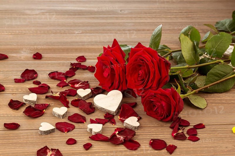 Roses as a gift and surprise for a celebration. Symbol photo for birthday, Mother's Day, love, Valentine's Day Austria