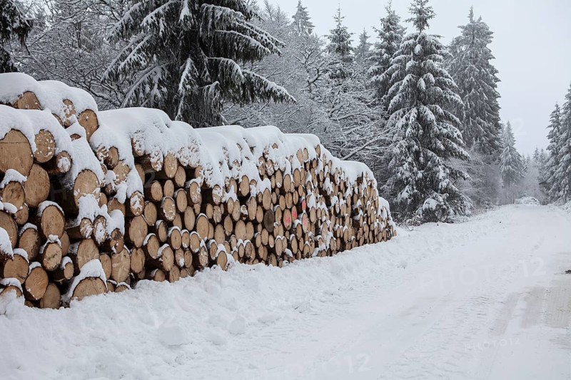 Woodpile in a forest in winter, Märzenbecher path, between Reblin and Valbert, Meinerzhagen, Nordhelle, Ebbe Mountain Nature Park, Sauerland, North Rhine-Westphalia, Germany, Europe