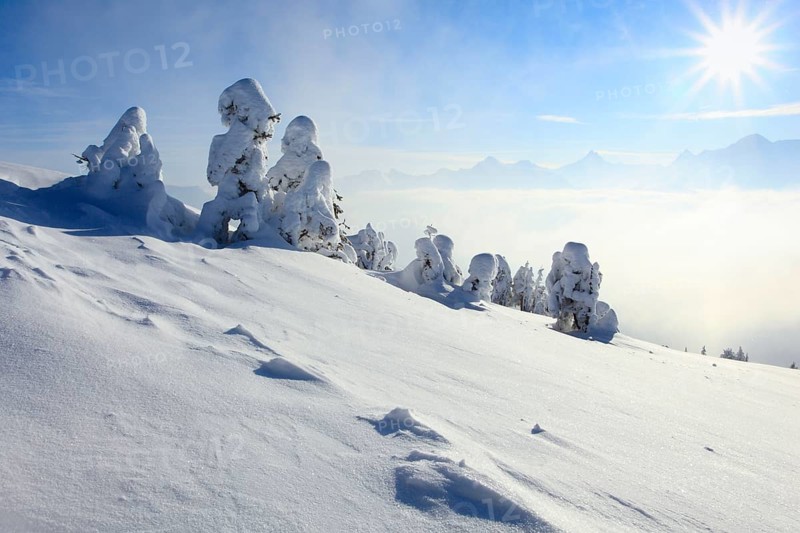 Bernese Alps, View from the Niederhorn, Bernese Oberland, Switzerland, Europe