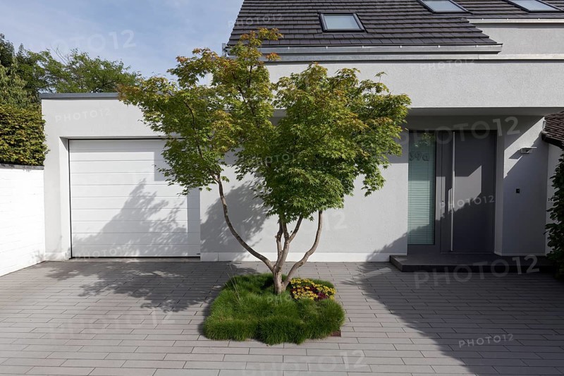 Single-family house, front garden sealed with stone slabs, single tree, Düsseldorf, North Rhine-Westphalia, Germany, Europe