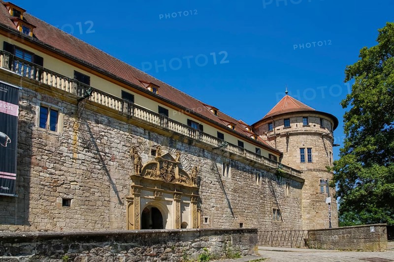 Portal, gate, round arch, bridge, cobblestones, stone figures, coat of arms, relief, decoration, Hohentübingen Castle, Museum of the University of Tübingen MUT, higher education institution, historical building, place of learning, Renaissance complex built in the 16th century, Eberhard Karls University of Tübingen, tower, Tübingen, Baden-Württemberg, Germany, Europe