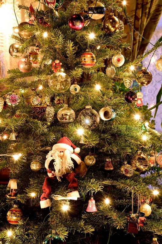 Europe, Germany, Christmas tree, Christmas tree in living room, Christmas, traditional tree decoration with baubles and lights, Hamburg, Hamburg, Federal Republic of Germany, Europe