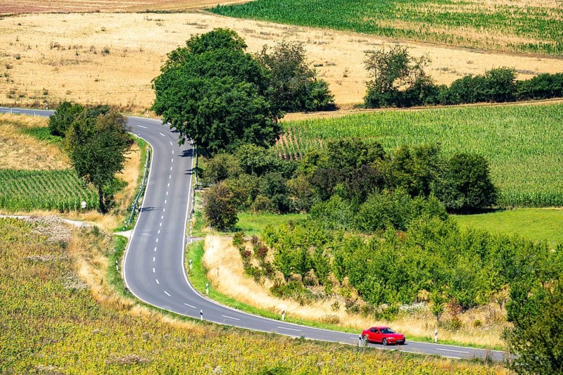 Country road, with car, sunflower field south-east of Nideggen, in the Rureifel, North Rhine-Westphalia, Germany, Europe