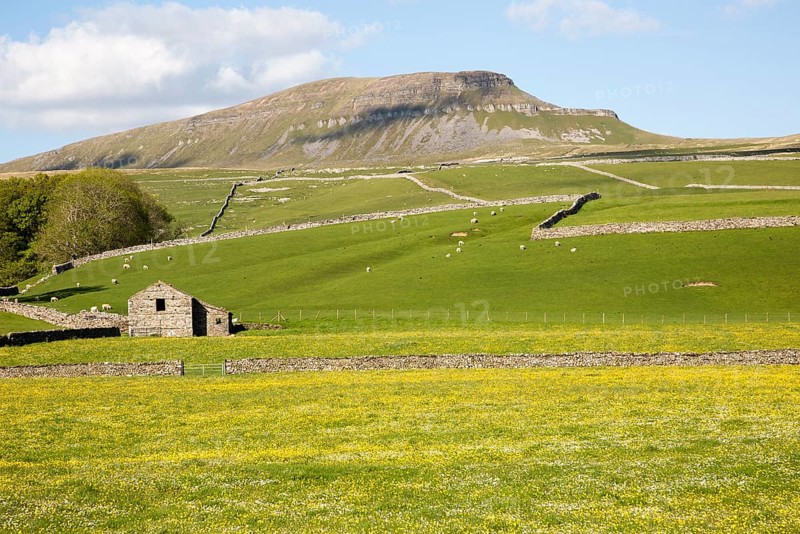 Carboniferous limestone scenery Pen Y Ghent, Yorkshire Dales national park, England, UK from Horton in Ribblesdale