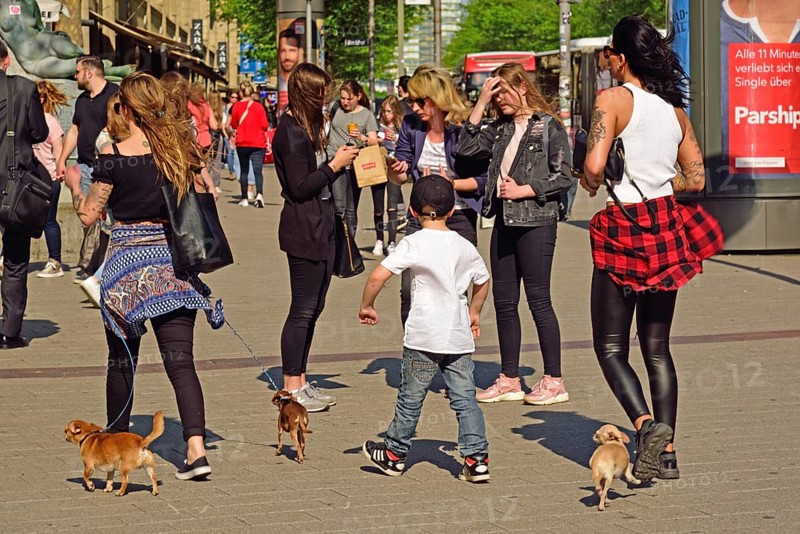 Germany, Hamburg, City, Mönckebergstraße, Two young woman and boy with three small dogs, Hamburg, Hamburg, Federal Republic of Germany, Europe