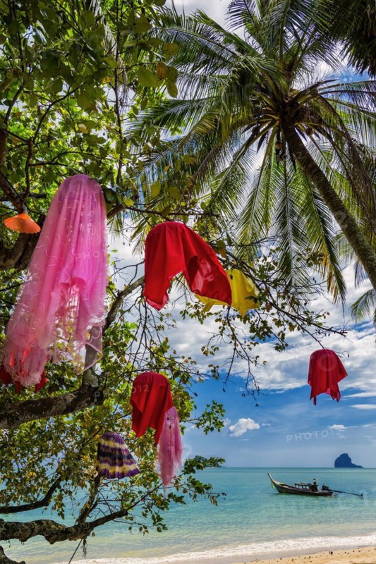 Colourful lamps in the tree at Pasai beach, holiday, travel, tourism, beach holiday, beach holiday, sun, sunny, climate, decoration, decorated, lighting, lamps, lantern, colourful, colourful, water, sea, ocean, coast, coastal landscape, palm beach, palm tree, paradise, holiday paradise, paradisiacal, boat, island, dream holiday, symbolic, Asian, exotic, beautiful, Koh Yao Noi, Thailand, Asia
