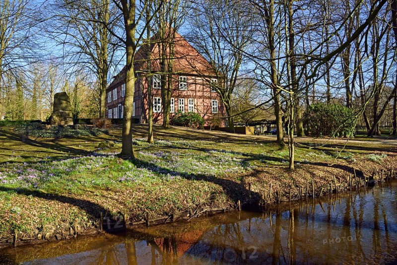 Europe, Germany, Lower Saxony, Harburg district, Moisburg, Hamburg metropolitan region, Amtshaus an der Este, spring, meadow with crocuses, Hamburg, Hamburg, Federal Republic of Germany, Europe