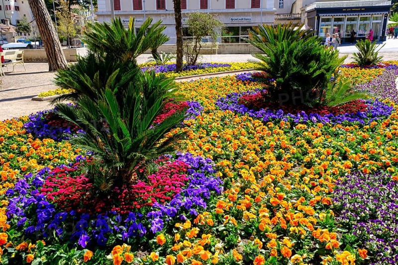 Flower arrangements, flower beds on the Passer promenade, Merano, South Tyrol, Italy, Europe