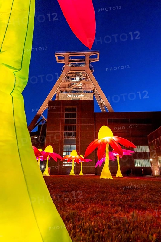 Celebrations to mark the 25th anniversary of the Route of Industrial Heritage in the Ruhr region, festivals lasting several days, highlight is the Extraschicht, the long night of industrial heritage, here Illuminating flowers at the Zeche Zollverein in Essen, double trestle winding tower shaft 12, North Rhine-Westphalia, Germany, Europe