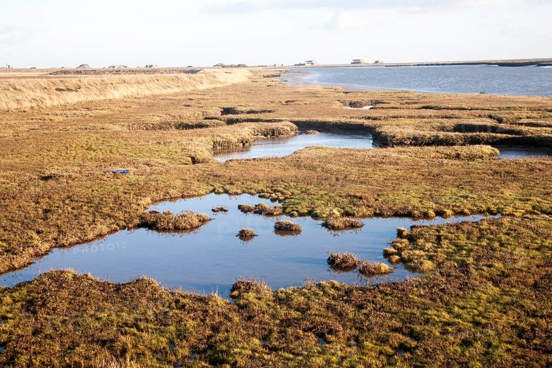 Saltmarsh in tidal creeks of the River Ore looking towards the military structures on Orford Ness, Suffolk, England, United Kingdom, Europe