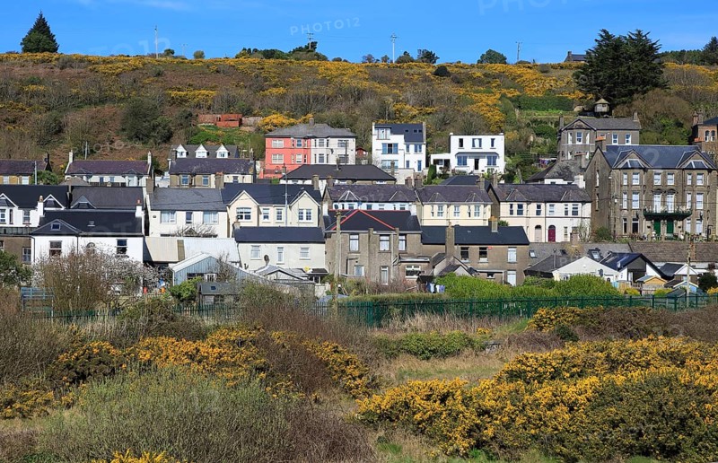 Rows of historic houses inn rural setting, Youghal, County Cork, Ireland, Irish Republic, Europe