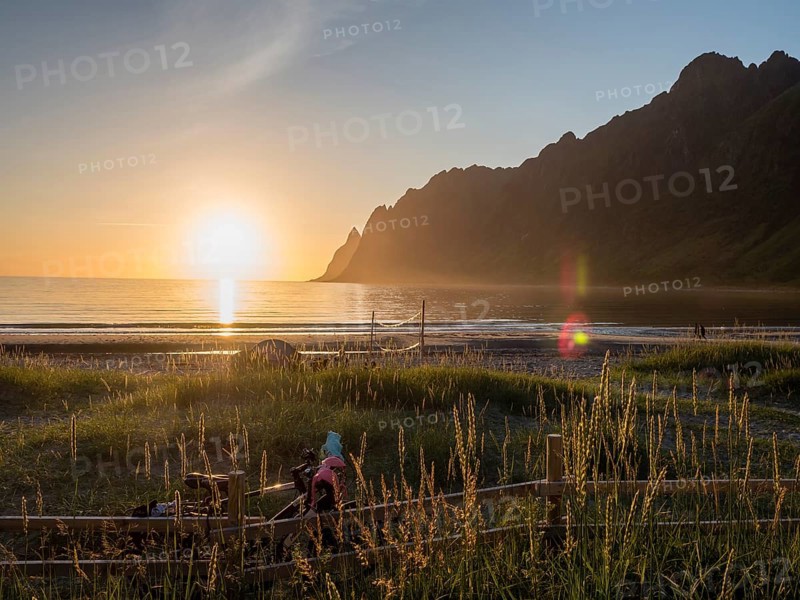 Beach Ersfjordstranden, fjord Ersfjord, public recreation area, sunset, dune grass in backlight, view to mountain range Okshornan, island Senja, Troms, northern Norway, Norway, Europe