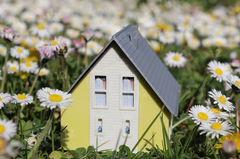 Symbolic image: Model house in a lush meadow with daisies