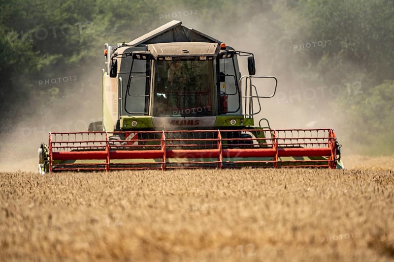 Agriculture, grain harvest, wheat, combine harvester harvesting in a wheat field, near Niederkrüchten, North Rhine-Westphalia, Germany, Europe