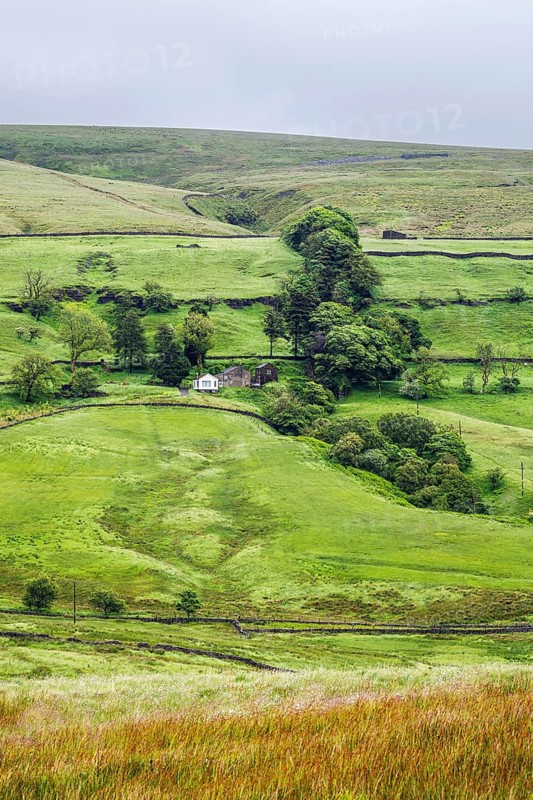 Farms in Yorkshire Dales National Park, North Yorkshire, England, United Kingdom, Europe