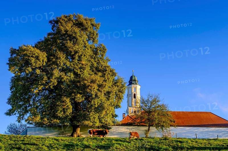 Reutberg Monastery, Sachsenkam, Tölzer Land, Alpine foothills, Upper Bavaria, Bavaria, Germany, Europe