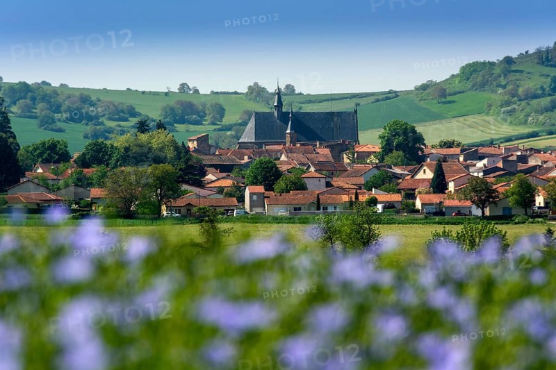 Flax (Linum usitatissimum) field in flower. Vic le Comte village. Puy de Dome departement. Auvergne-Rhone-Alpes. France