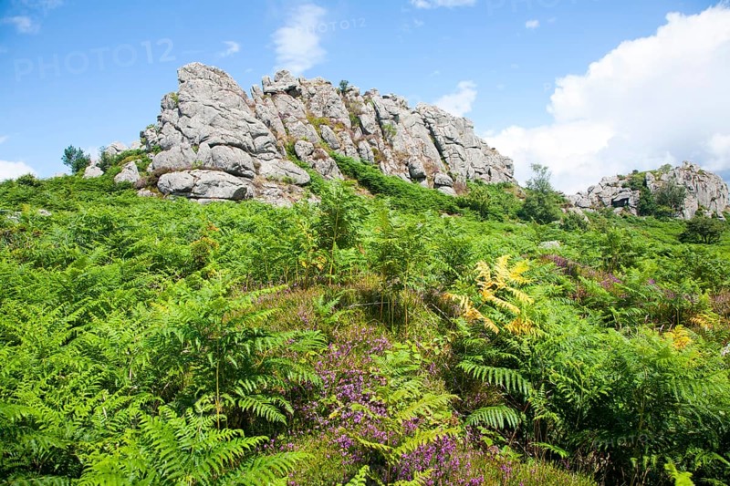 Granite upland landscape Greator Rocks, Dartmoor national park, Devon, England, UK