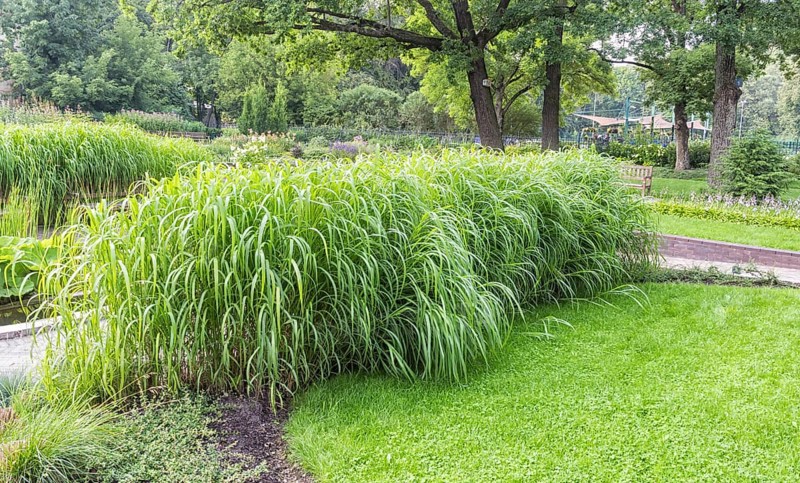 Bernardine Gardens park in the center of Vilnius, Lithuania, Europe