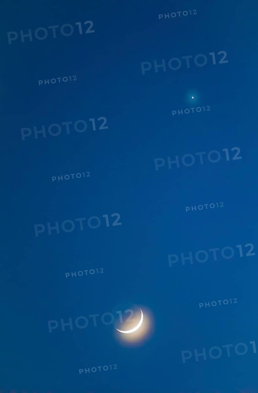 Narrow crescent moon with a halo (corona) and visible moon disc shortly after the new moon, evening star, planet Venus, dark blue evening sky, cloudless, Lüneburg Heath, Lower Saxony, Germany, Europe
