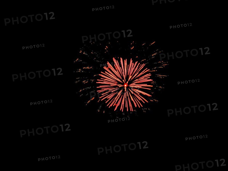 Fireworks in front of black background, single red peony, effect, light effect, explosion, pyrotechnics, text free space, symbol photo