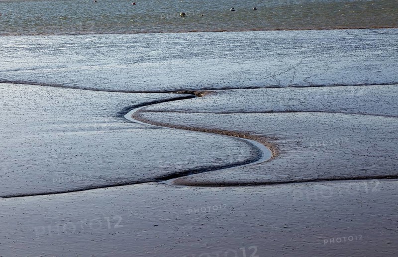 Drainage channels in mudflats at low tide River Deben estuary, Sutton, Suffolk, England, UK