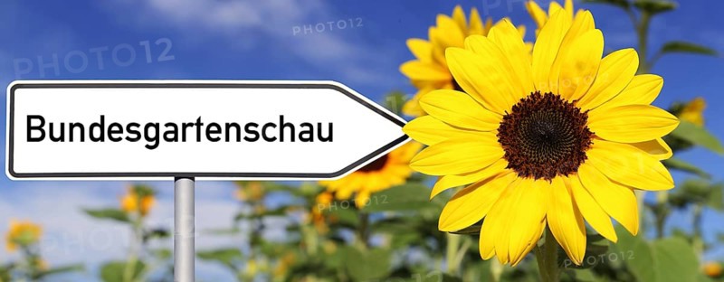 Symbolic image of the Federal Horticultural Show: Directional arrow with the inscription Bundesgartenschau next to a sunflower (Compsosing)