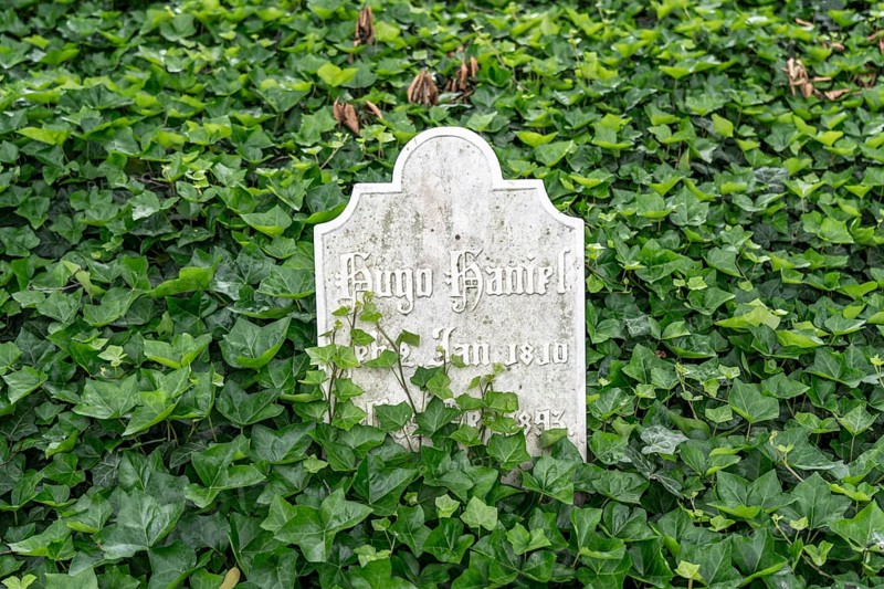 Family grave of the Haniel industrial family, cemetery, old gravestone, Duisburg-Ruhrort North Rhine-Westphalia, Germany, Europe