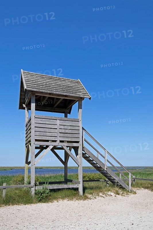 Viewing platform, duck platform, Libbertsee, circular hiking trail, nature reserve, Darßer Ort, Born a. Darß, Mecklenburg-Vorpommern, Germany, Europe