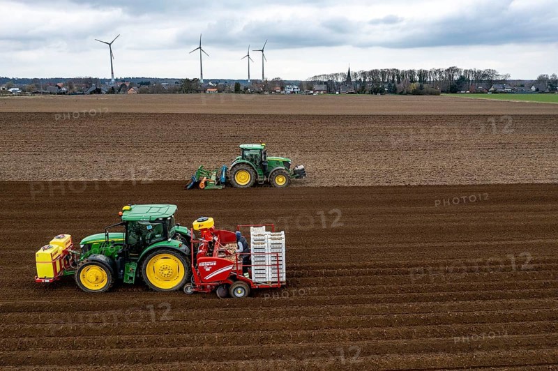 Early potatoes are laid in the soil of the field with a planting machine, tractor with roundabout harrow prepares the soil, agriculture, spring
