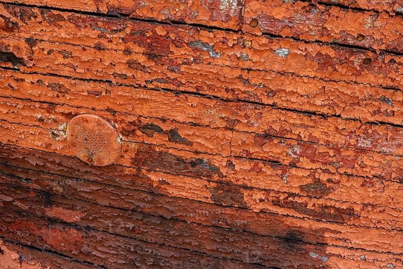 Colourful ship's planks, rotten hull and old planks of a ship, close-up of the underwater hull. Peenemünde, Usedom Island, Mecklenburg-Western Pomerania, Germany, Europe
