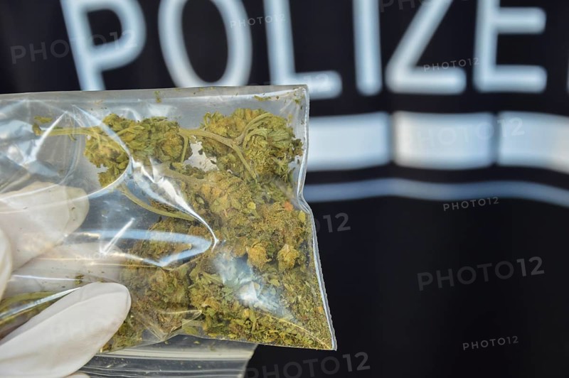 A hand with a disposable glove holds a bag of marijuana flowers. In the background is part of a uniform labelled police