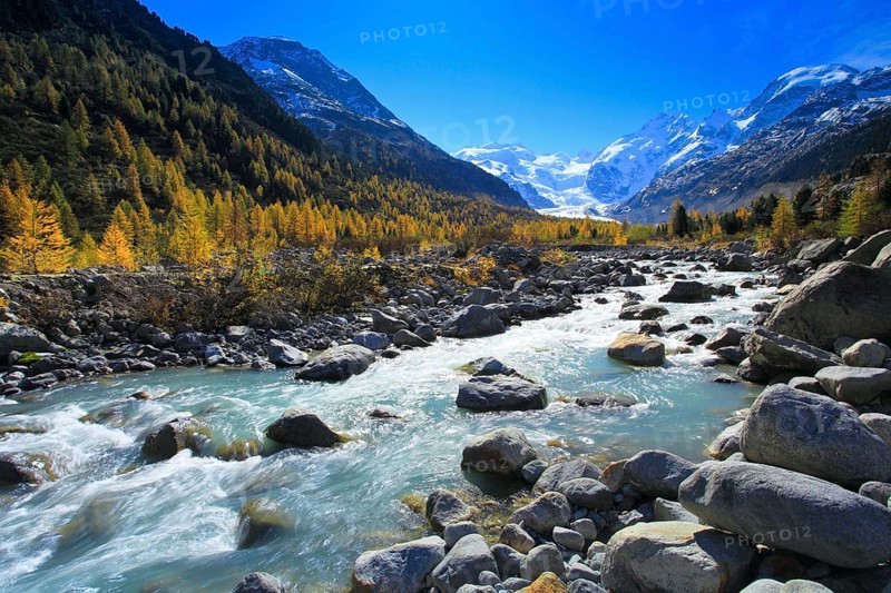 Mountain stream, Piz Palü, 3905 m, Piz Bernina, 4049 m, Bianco ridge, Morteratsch glacier, Upper Engadine, Grisons, Switzerland, larch forest, Europe