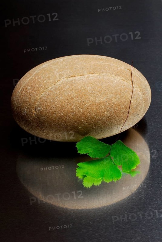 Stacked stones and leaf of lady hair fern