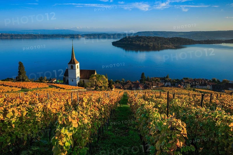 Ligerz on Lake Biel, Bern, Switzerland, Europe