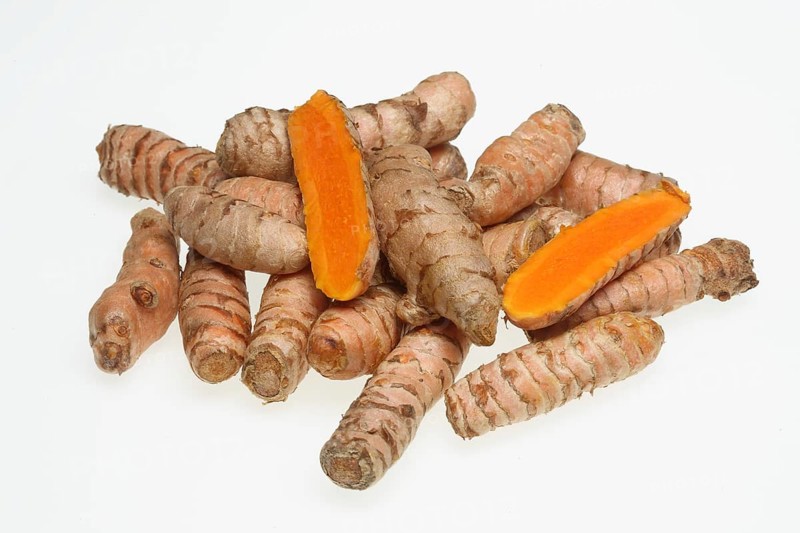 Turmeric (Curcuma longa) or curcume, yellow ginger, saffron root, turmeric, plant species of the ginger family, medicinal plant, dye plant and spice