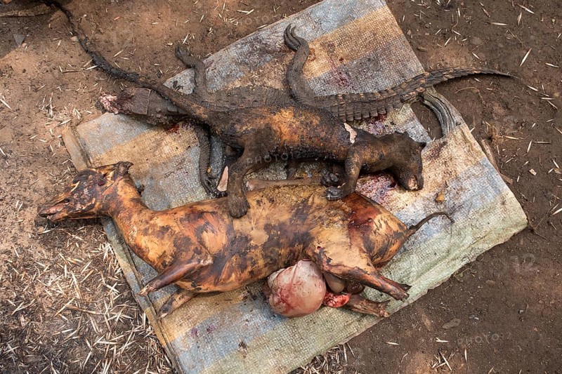Bushmeat, Mangamba, Littoral Province, Cameroon, Africa