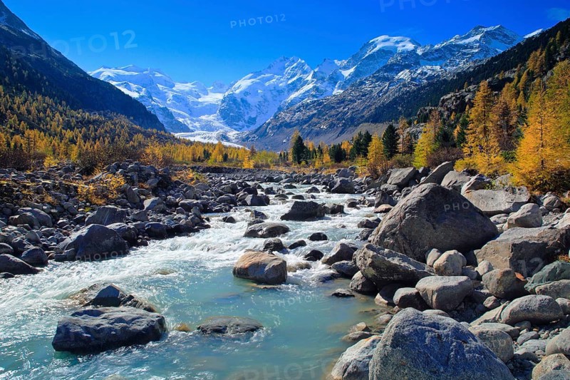 Mountain stream, larch forest, Piz Palü, 3905 m, Piz Bernina, 4049 m, Biancograt, Morteratsch glacier, Upper Engadine, Grisons, Switzerland, Europe