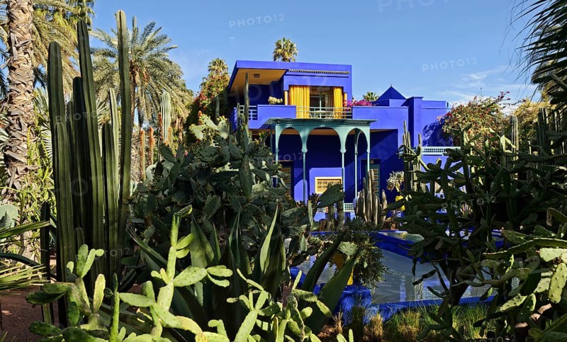 Morocco, Jardin Majorelle Botanical Garden in Marrakech, Africa