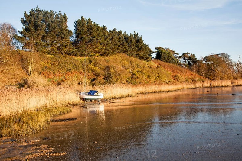 Yacht moored amongst reeds on the River Deben, Ramsholt, Suffolk, England, United Kingdom, Europe