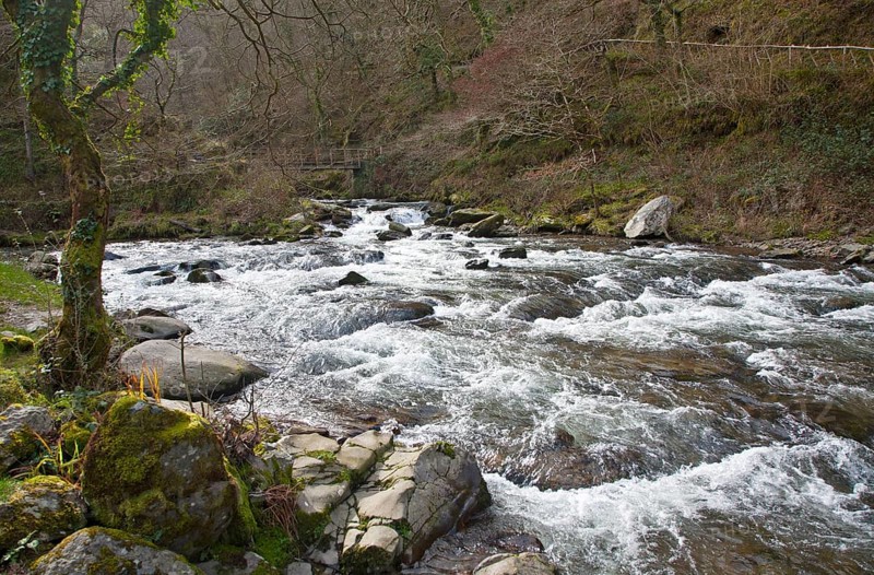 Confluence of East Lyn River and Hoar Oak water at Watersmeet, Exmoor national park, near Lynmouth, Devon, England, United Kingdom, Europe