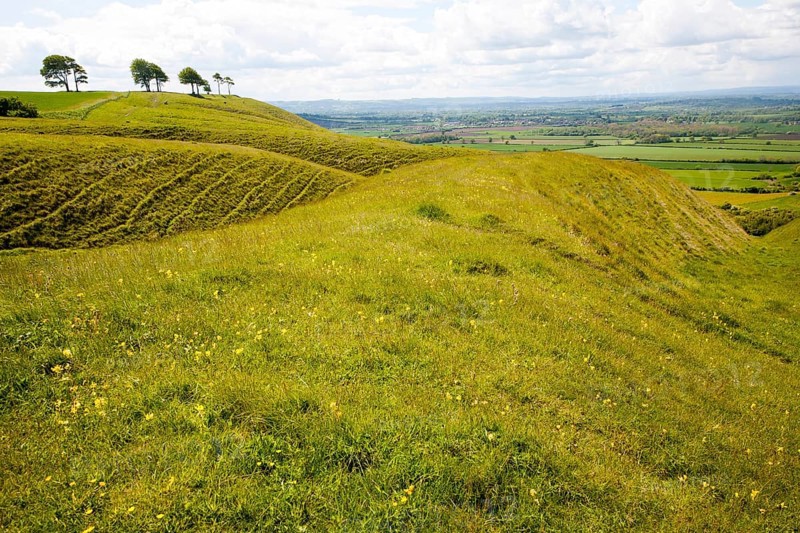 Chalk scarp slope with dry valleys at Roundway Hill, a special place for wildlife, near Devizes, Wiltshire, England, United Kingdom, Europe
