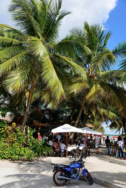 A group of people relaxing in a restaurant under palm trees, beach, Boca Chica, Santo Domingo Province, Dominican Republic, Hispaniola, Caribbean, America, Central America