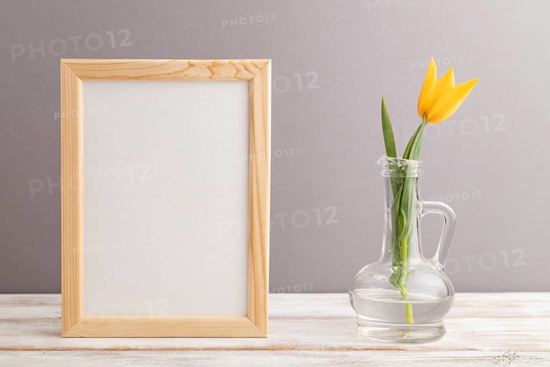 Wooden frame with orange tulip flower in glass on gray pastel background. side view, copy space, still life, mockup, template, spring, summer minimalism concept