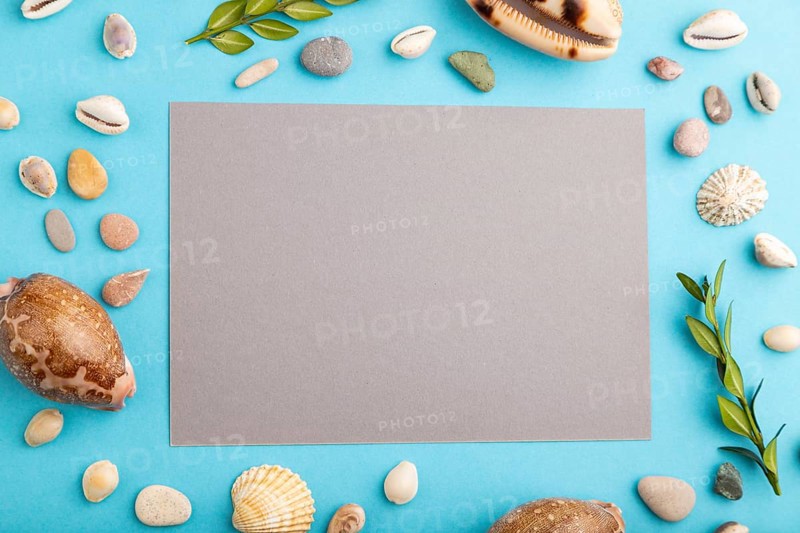Composition with gray paper sheet, seashells, green boxwood. mockup on blue pastel background. Blank, top view, still life, flat lay, copy space. travel concept