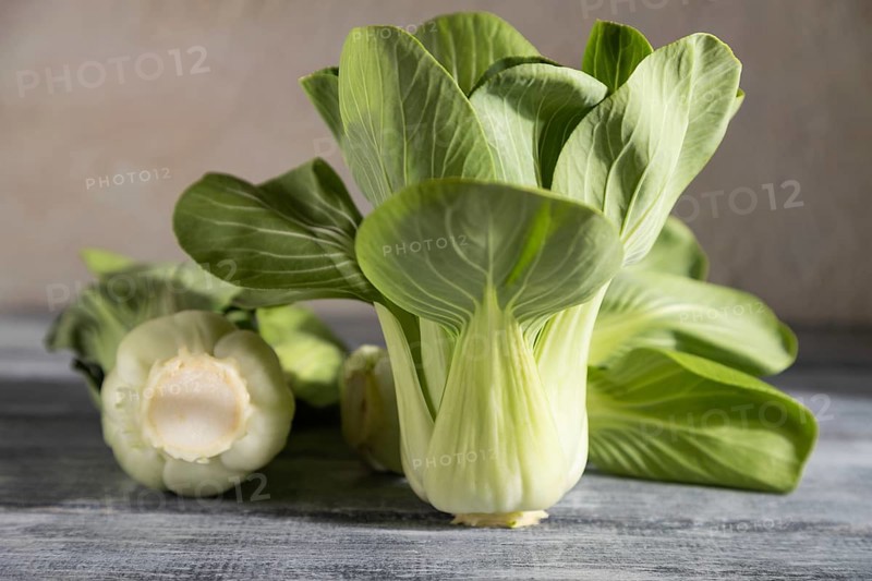 Fresh green bok choy or pac choi chinese cabbage on a gray wooden background. Hard light, contrast. Side view, close up, selective focus