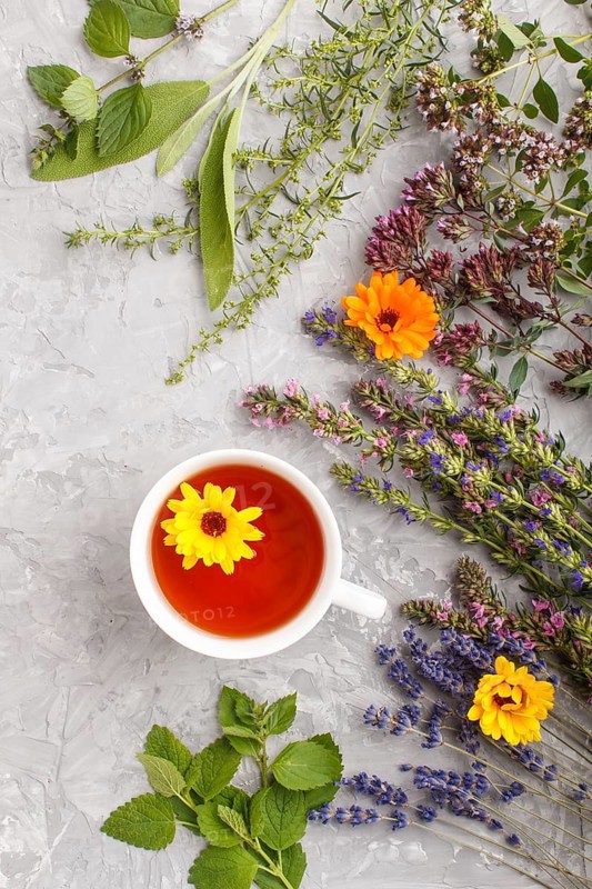 Cup of herbal tea with calendula, lavender, oregano, hyssop, mint and lemon balm on a gray concrete background. Morninig, spring, healthy drink concept. Flat lay, top view